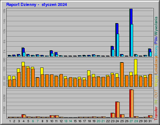 Raport Dzienny -  styczeń 2024