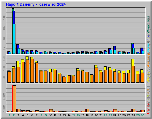 Raport Dzienny -  czerwiec 2024