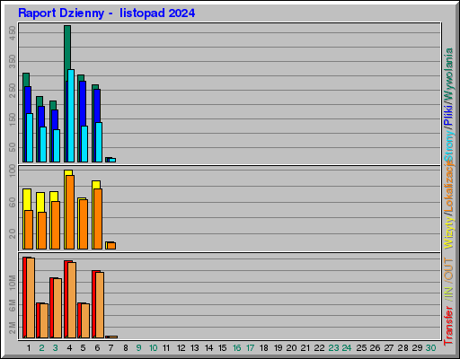 Raport Dzienny -  listopad 2024