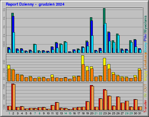 Raport Dzienny -  grudzień 2024