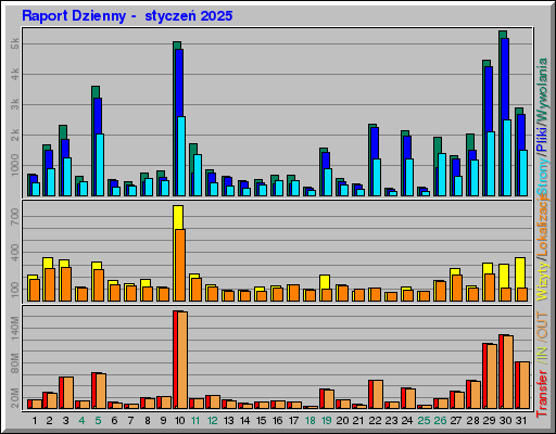 Raport Dzienny - styczeĹ 2025 Raport Dzienny - styczeĹ 2025