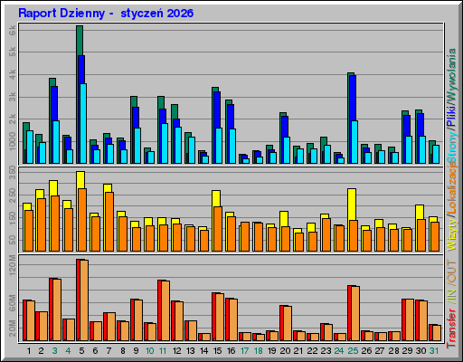 Raport Dzienny -  styczeń 2026