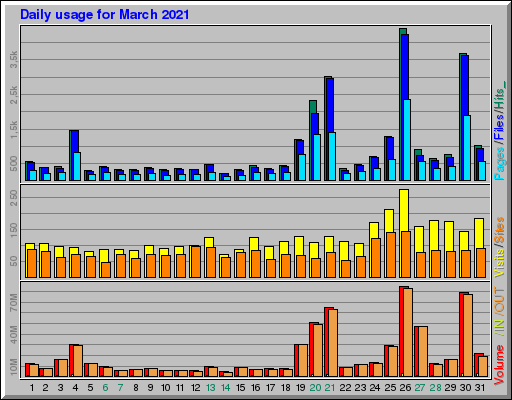 Raport Dzienny -  marzec 2021