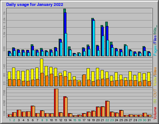 Raport Dzienny -  styczeń 2022