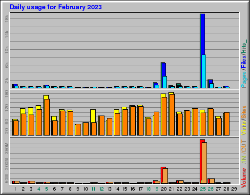 Raport Dzienny -  luty 2023
