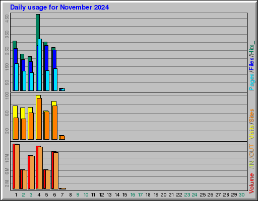 Raport Dzienny -  listopad 2024