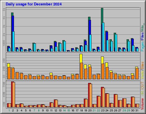 Raport Dzienny -  grudzień 2024