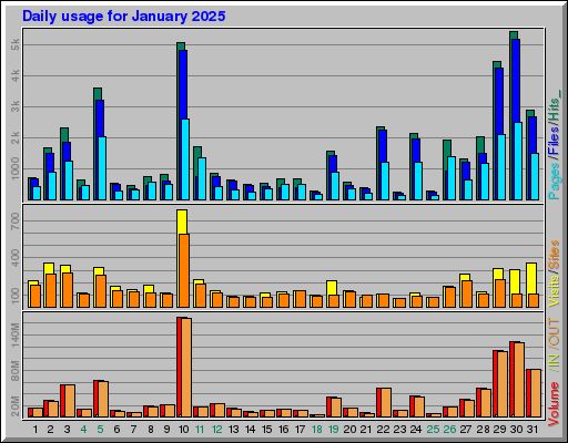 Raport Dzienny - styczeń 2025 Raport Dzienny - styczeń 2025