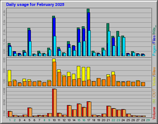 Raport Dzienny -  luty 2025