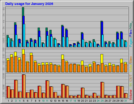 Raport Dzienny -  styczeń 2026