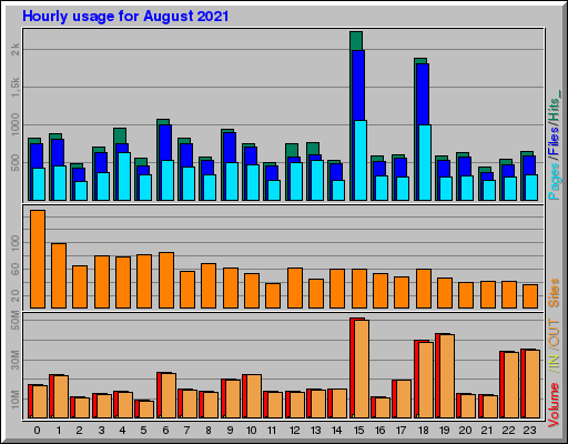 Raport Godzinowy -  sierpień 2021