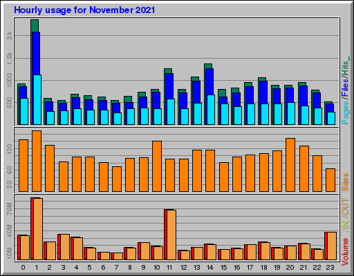 Raport Godzinowy - listopad 2021 Raport Godzinowy - listopad 2021