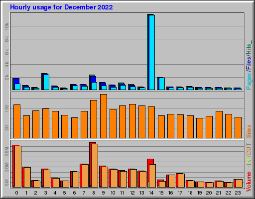 Raport Godzinowy -  grudzień 2022