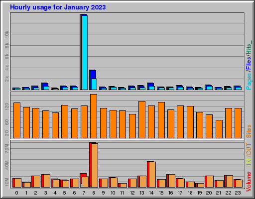 Raport Godzinowy - styczeń 2023 Raport Godzinowy - styczeń 2023
