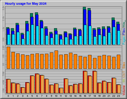 Raport Godzinowy -  Maj 2024