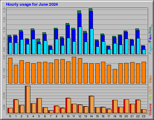Raport Godzinowy -  czerwiec 2024