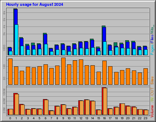 Raport Godzinowy - sierpień 2024 Raport Godzinowy - sierpień 2024
