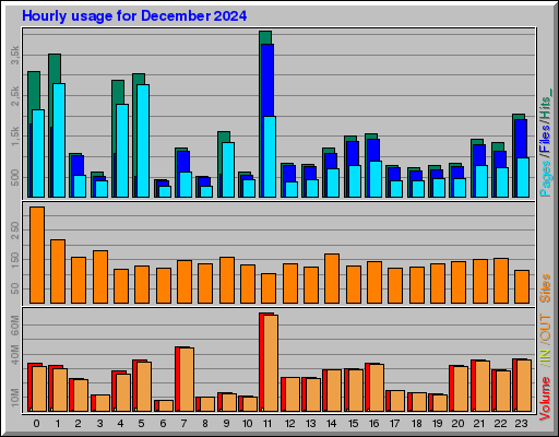 Raport Godzinowy -  grudzień 2024