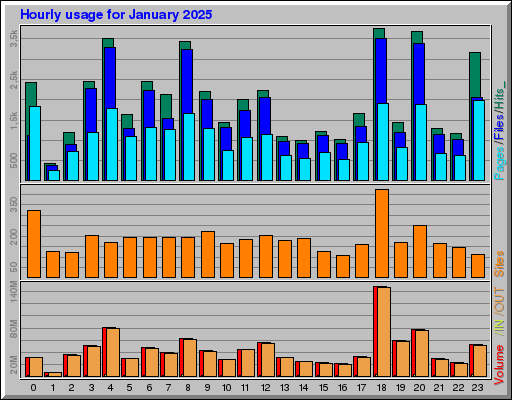 Raport Godzinowy -  styczeń 2025