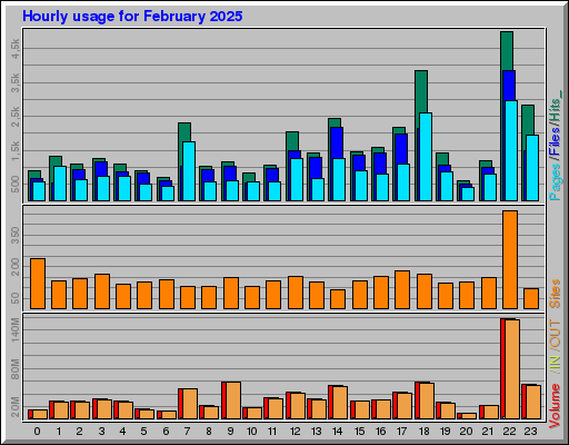 Raport Godzinowy -  luty 2025