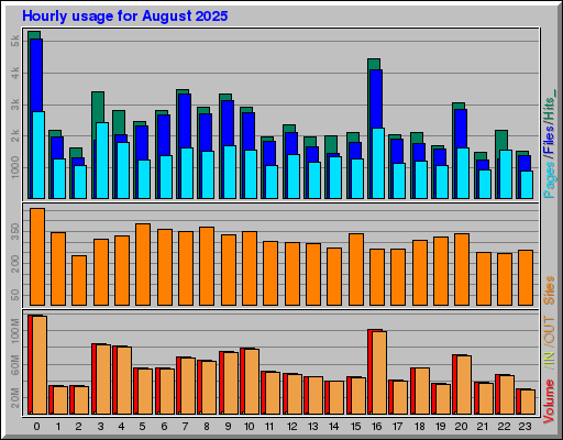 Raport Godzinowy -  sierpień 2025