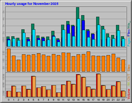 Raport Godzinowy -  listopad 2025