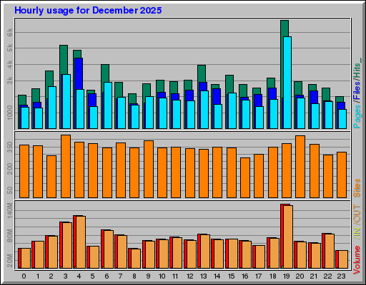 Raport Godzinowy -  grudzień 2025