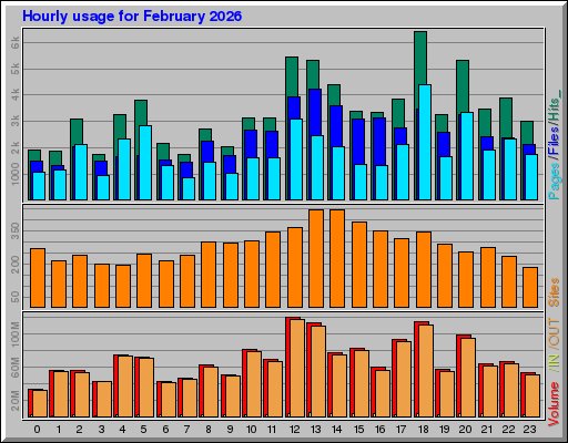 Raport Godzinowy -  luty 2026