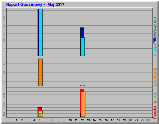 Raport Godzinowy -  Maj 2017