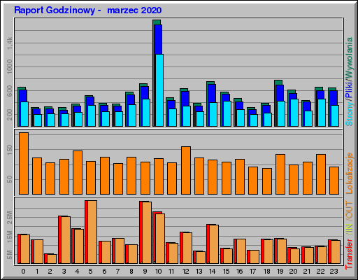 Raport Godzinowy -  marzec 2020