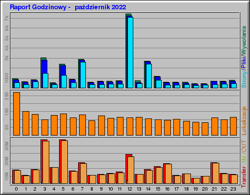 Raport Godzinowy -  październik 2022