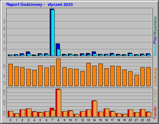 Raport Godzinowy -  styczeń 2023