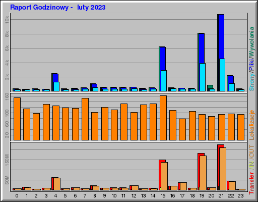 Raport Godzinowy -  luty 2023