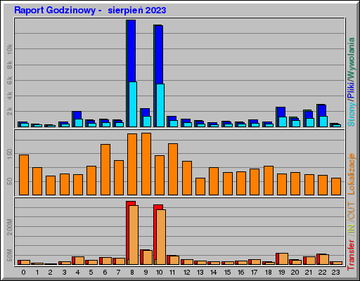 Raport Godzinowy -  sierpień 2023