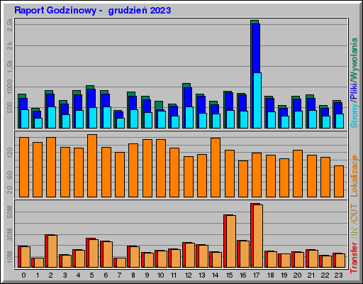 Raport Godzinowy -  grudzień 2023