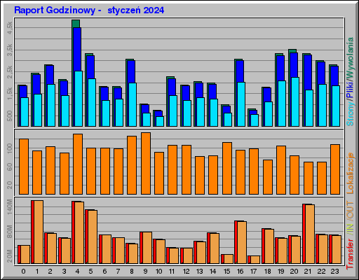 Raport Godzinowy -  styczeń 2024