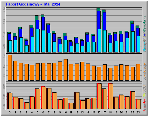 Raport Godzinowy -  Maj 2024