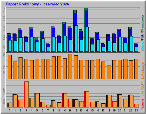 Raport Godzinowy -  czerwiec 2024