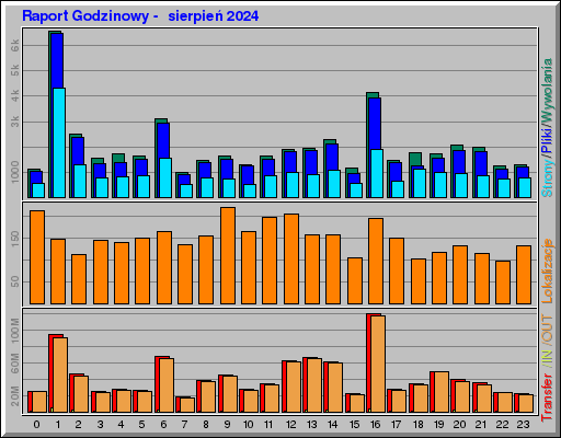 Raport Godzinowy -  sierpień 2024