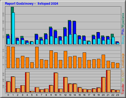 Raport Godzinowy -  listopad 2024