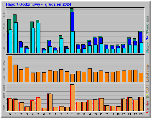Raport Godzinowy -  grudzień 2024