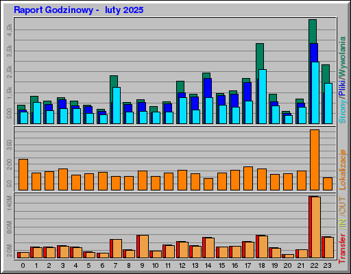 Raport Godzinowy -  luty 2025