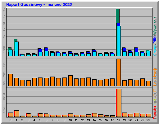 Raport Godzinowy -  marzec 2025