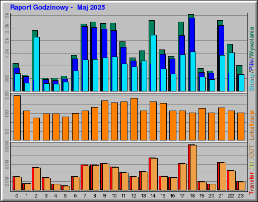 Raport Godzinowy -  Maj 2025