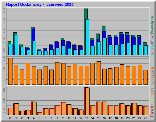 Raport Godzinowy -  czerwiec 2025