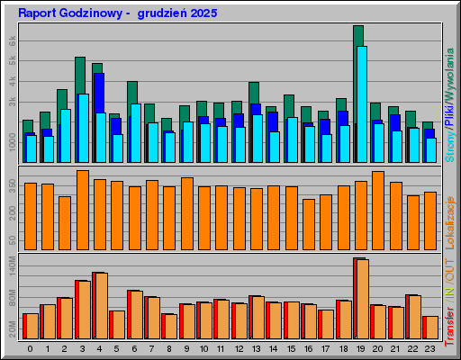 Raport Godzinowy -  grudzień 2025