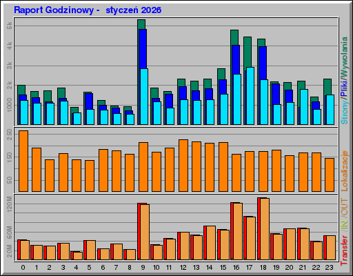 Raport Godzinowy -  styczeń 2026