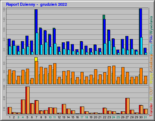 Raport Dzienny -  grudzień 2022