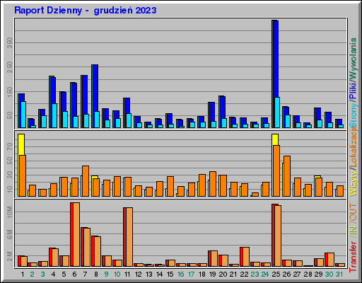 Raport Dzienny -  grudzień 2023