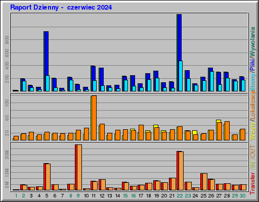 Raport Dzienny - czerwiec 2024 Raport Dzienny - czerwiec 2024